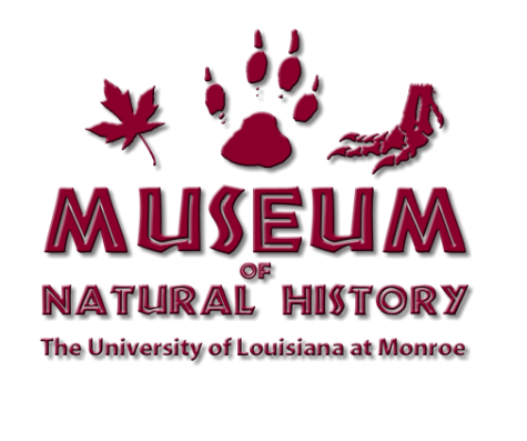 Natural History collections moving to new homes