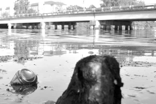 A can floats in Bayou Desiard within campus grounds, reestablishing the need for more accessible trash cans along the banks of this body of water.