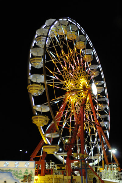 Colorful attractions lit up the night sky on the fair grounds for visitors to enjoy.