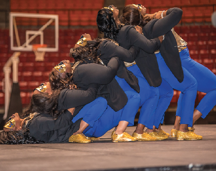 NPHC showcases its newest members