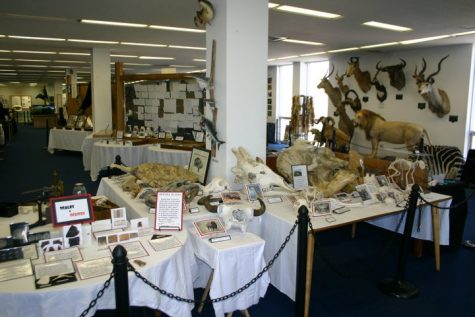 Administration confirms collections may be destroyed, track renovations go unaddressed