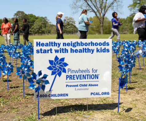 Pinwheel garden planted for child abuse prevention