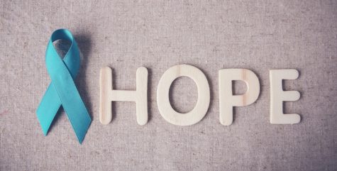 Assault survivors deserve belief, not politics