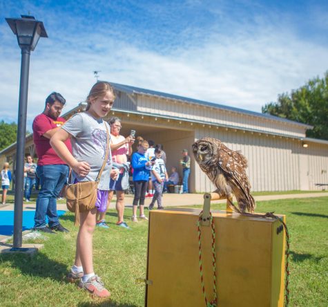 Black Bayou on full display during Fall Celebration