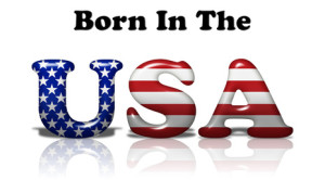 The words Born In The USA in the American flag colors isolated on white