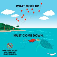 Balloon releases harm wildlife