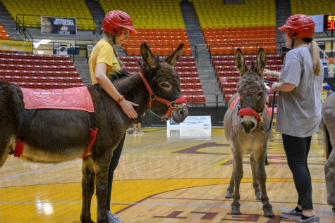 Donkey Basketball: Dunkin’ with donkeys
