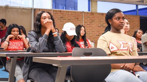 Sorority hosts panel addressing violence, sex