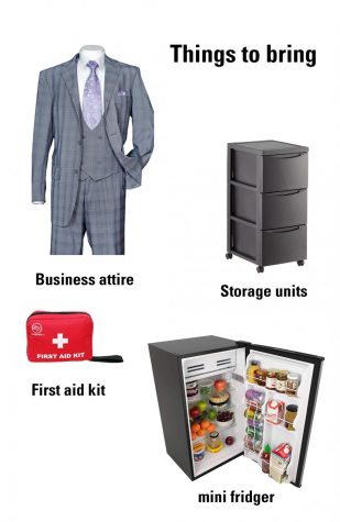 Dorm survival guide