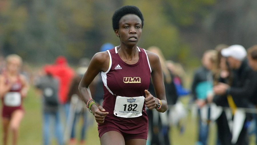 Warhawks perform at Louisiana Tech