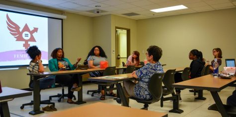 Femhawks host panel on feminism