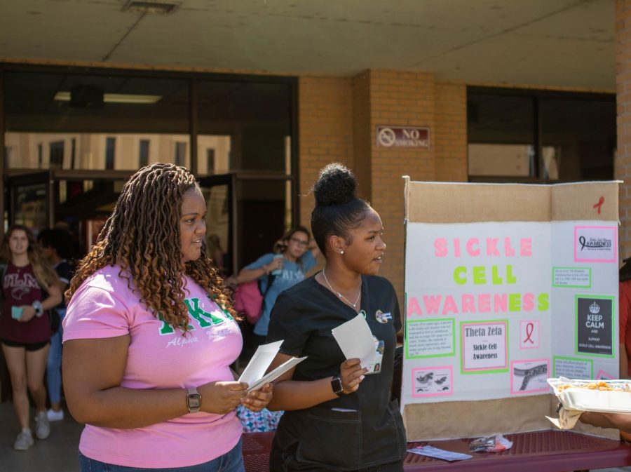Sorority educates campus on sickle cell disease