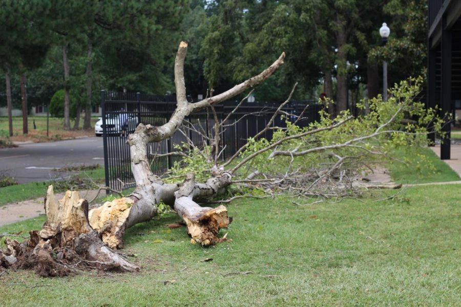 Hurricane hits campus, affects student life