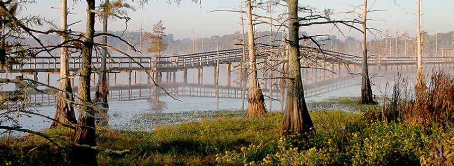 Warhawks’ favorite spots for relaxation