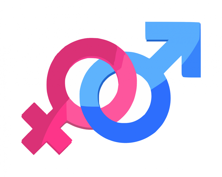 Gender+is+a+social+construct%2C+meaning+changes+over+time
