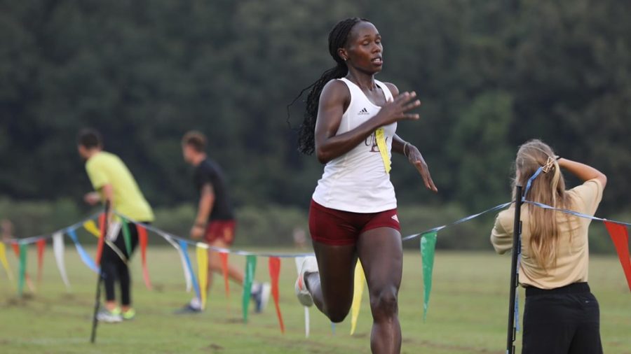 Women’s cross country stalls at 19th | Sports Briefs