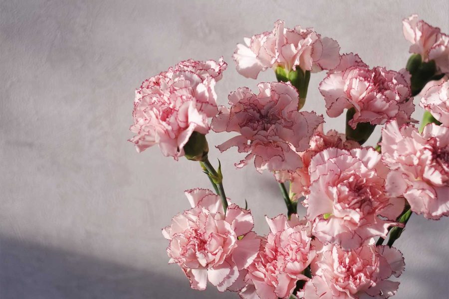 Not-so-average flowers to give on Valentine’s