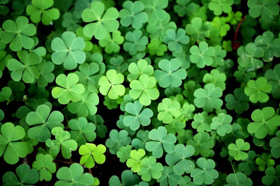 5 proud St. Patrick’s Day traditions