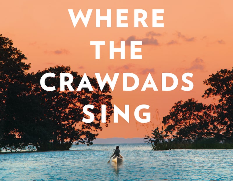 ‘Where the Crawdads Sing’ shocks viewers