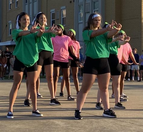 Sororities, fraternities come together for Unity Show
