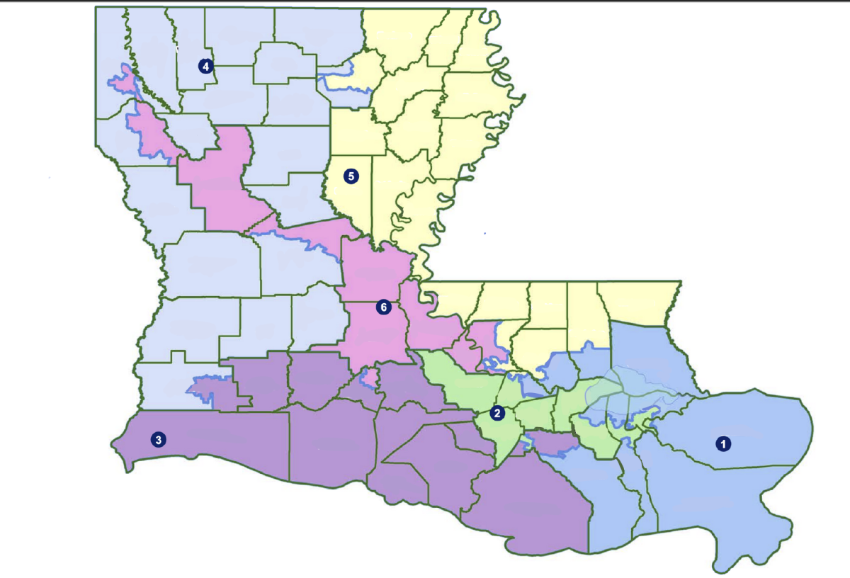 Louisianas new congressional voting districts
