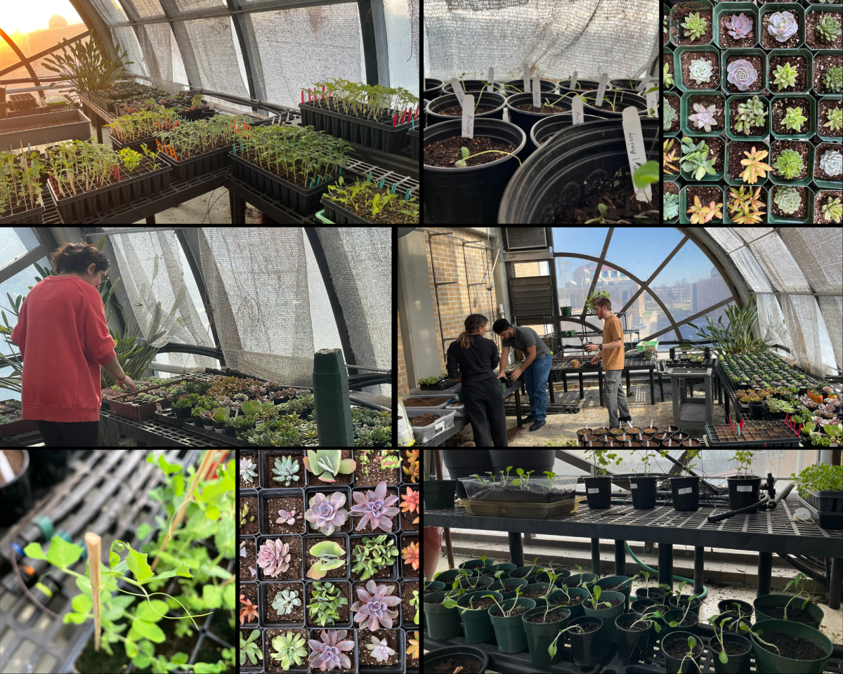Tri-Beta Society refurbishes CNSB greenhouse, garden
