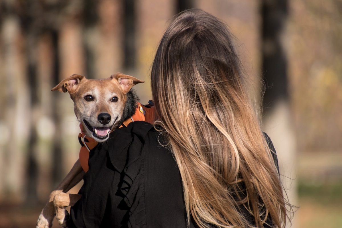 ULM's pet policies protect students, animals