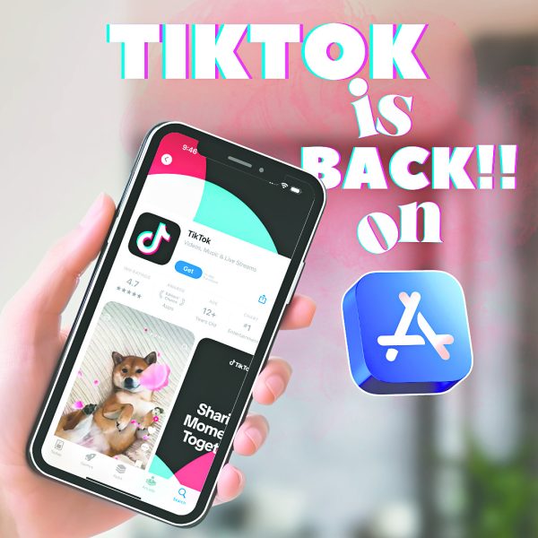 TikTok returns to app stores after ban