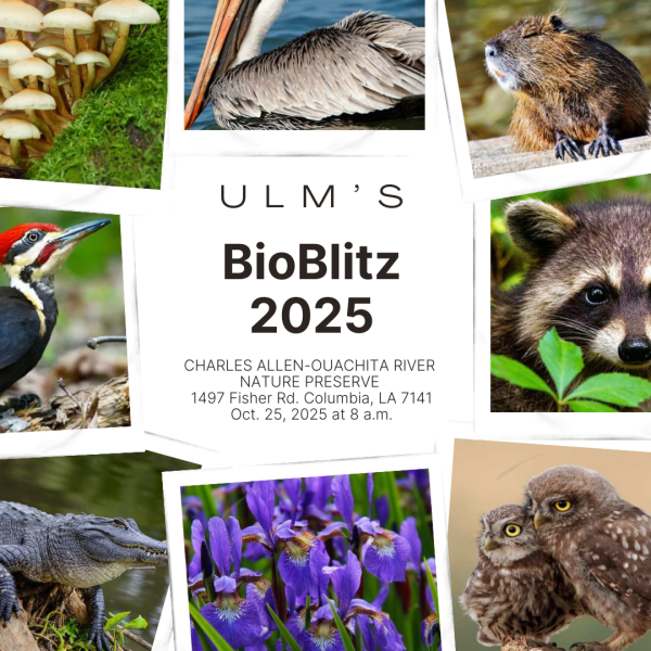 Annual BioBlitz challenges students with classroom knowledge