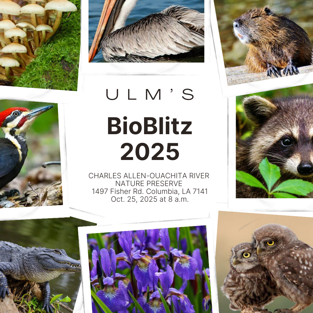 Annual BioBlitz challenges students with classroom knowledge
