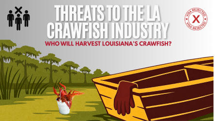 LA Crawfish by Anmol Subedi